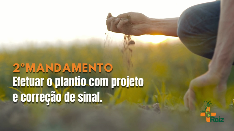 Rota de Valor: Segundo mandamento