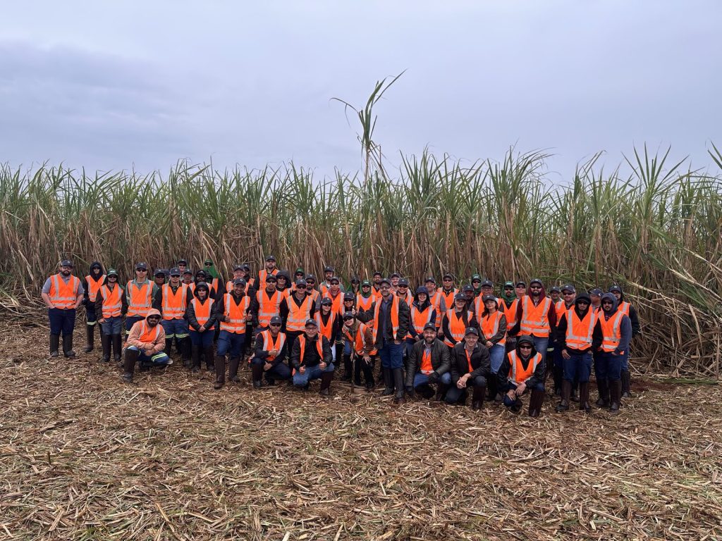 Colaboradores da Agrícola Quatá durante o Rota de Valor no canavial