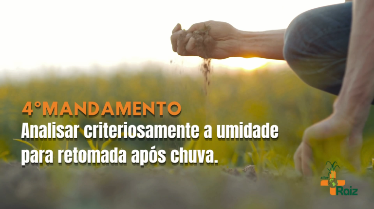 Rota de Valor: Quarto mandamento