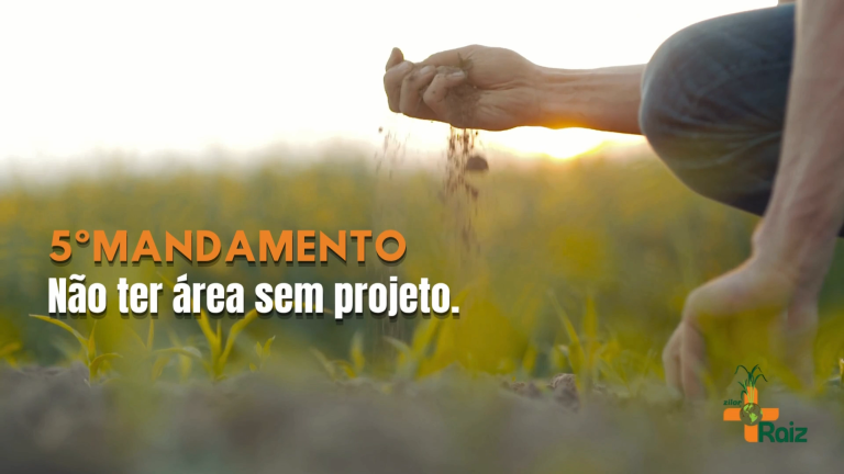 Rota de Valor: Quinto mandamento